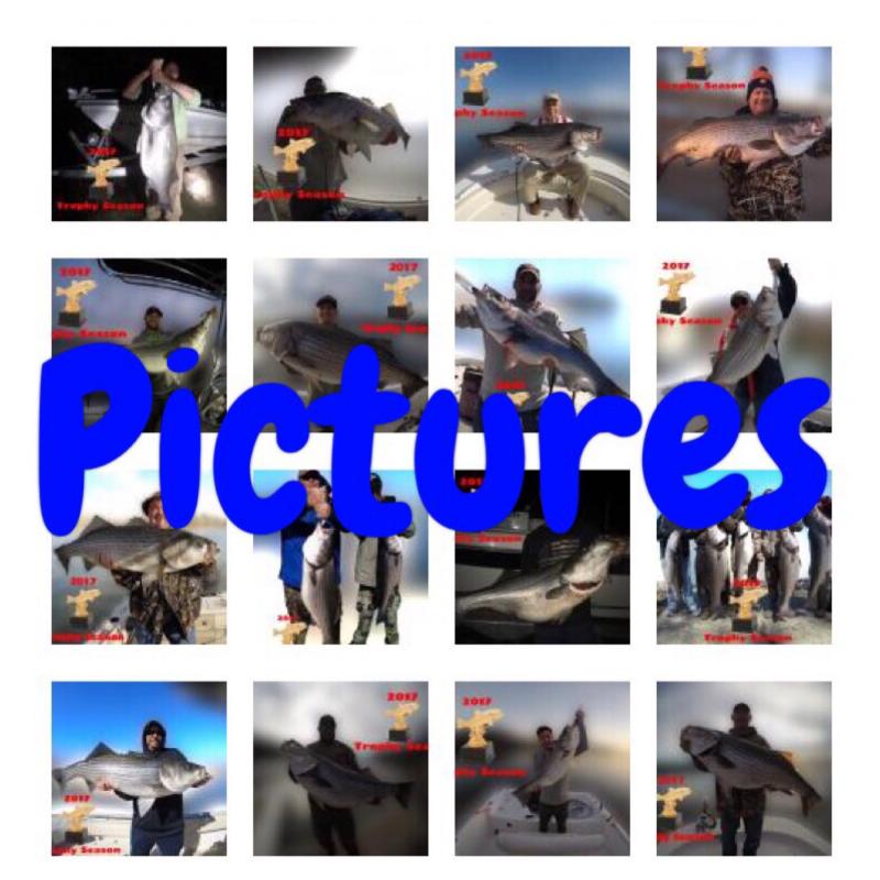 Fishing 24-7 Guide Service - Pictures Link