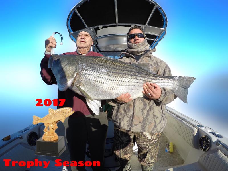 Monster Striped Bass Caught During 2017 Trophy Trip
